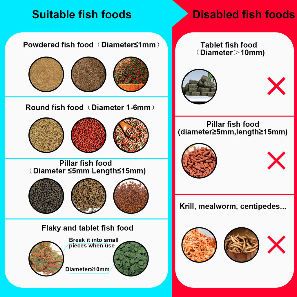 2.5K Smart WiFi Remote Monitoring Visual Fish Tank Automatic Feeder with Wide-Angle Camera